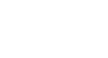 Numerical Precision Inc Logo
